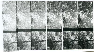 teststrip_4_400px